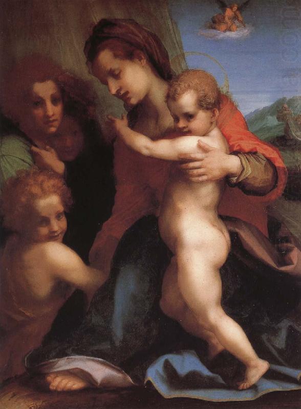 Andrea del Sarto Angel china oil painting image